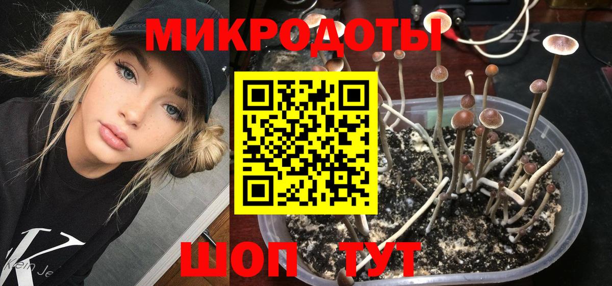 купить закладку  Псилоцибиновые грибы Magic Shrooms  Прокопьевск  Вход с VPN  Галлюциногенные грибы Psilocybe 