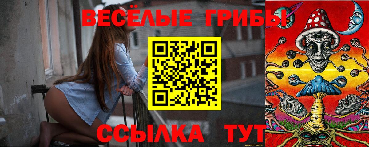 Галлюциногенные грибы прущие грибы Прокопьевск
